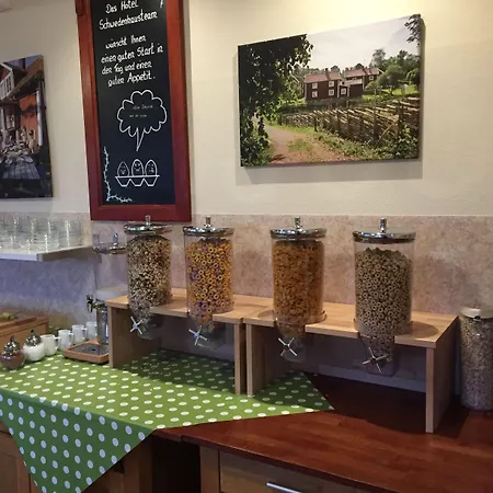 ホテル Schwedenhaus 3*